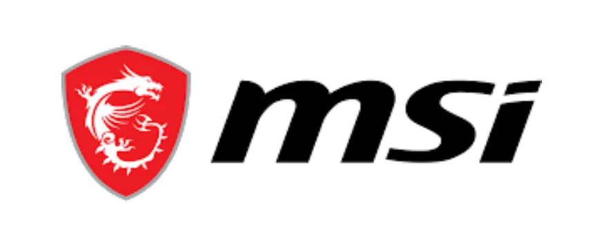 MSI
